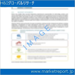 市場と産業調査レポートのイメージ